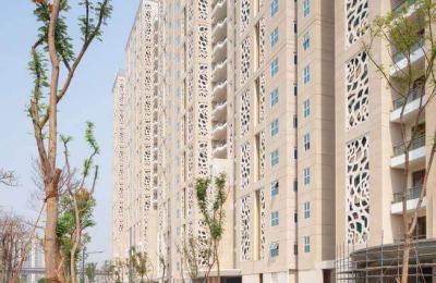 DLF Camellias | DLF Phase 5